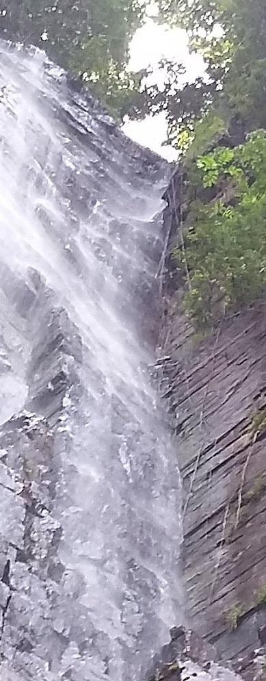 la-cascade-de-dindefelo-Copy.jpg