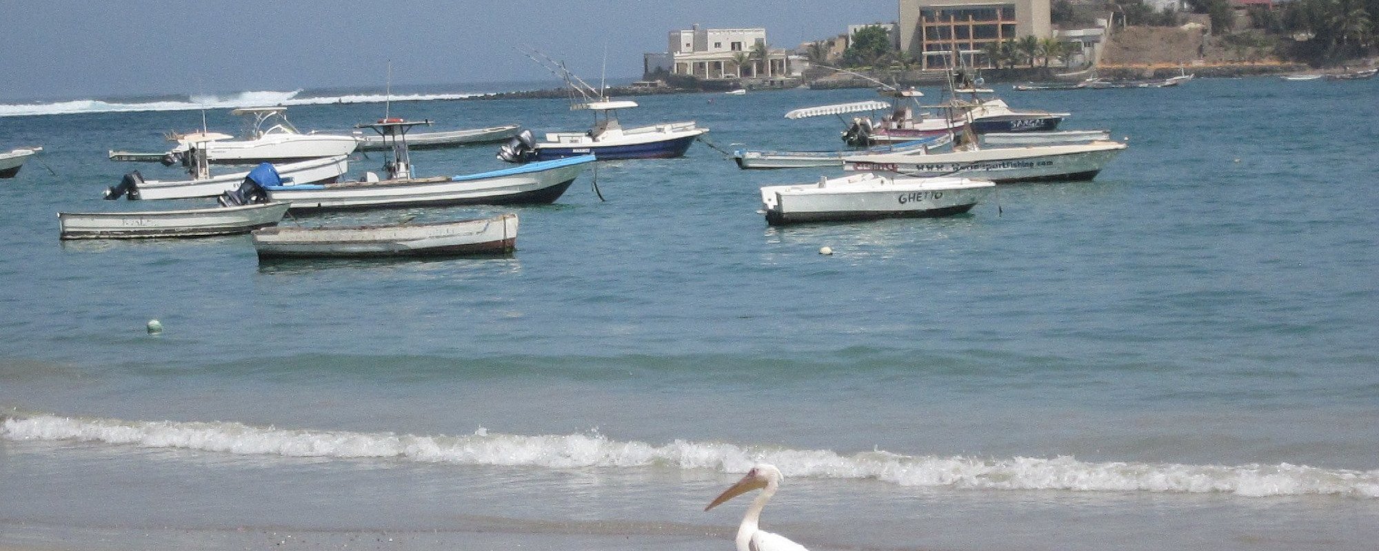 senegal-1.jpg